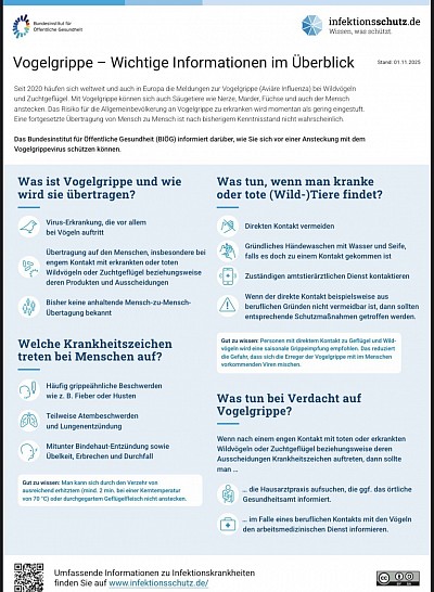 Vogelgrippe